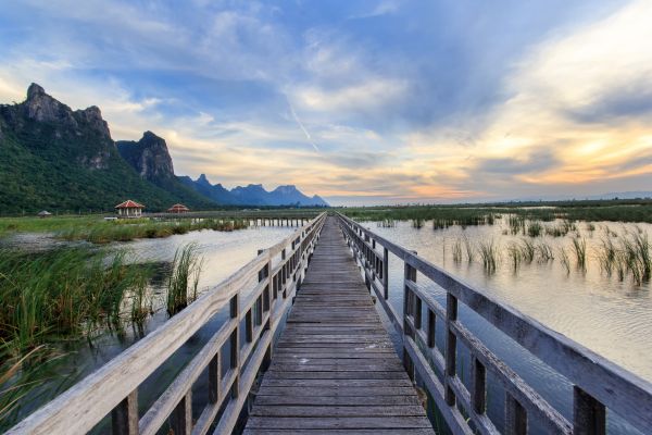 Hölzerner Steg über ein Feuchtgebiet mit Kalksteinfelsen im Hintergrund, Südthailand